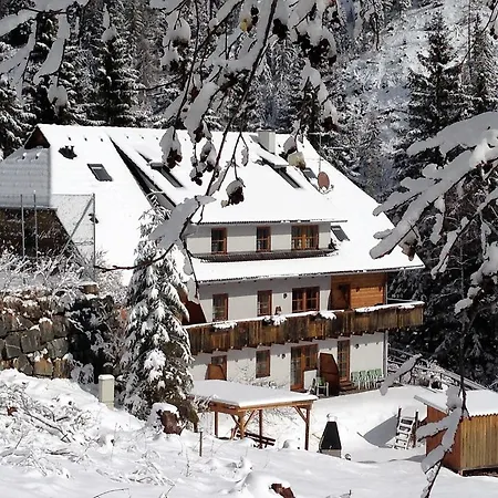 Landhaus Nockalm - Manuela Apartment Bad Kleinkirchheim
